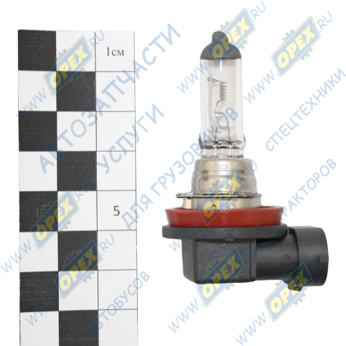 900126 Лампа накаливания 24V 70W; H11 (PGJ19-2) MB Actros MP2/MP3 (2002-2021) Nord Yada1